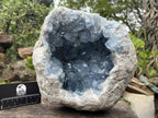 Natural Extra Large A Grade Celestite Geode Specimen x 1 From Sakoany, Madagascar