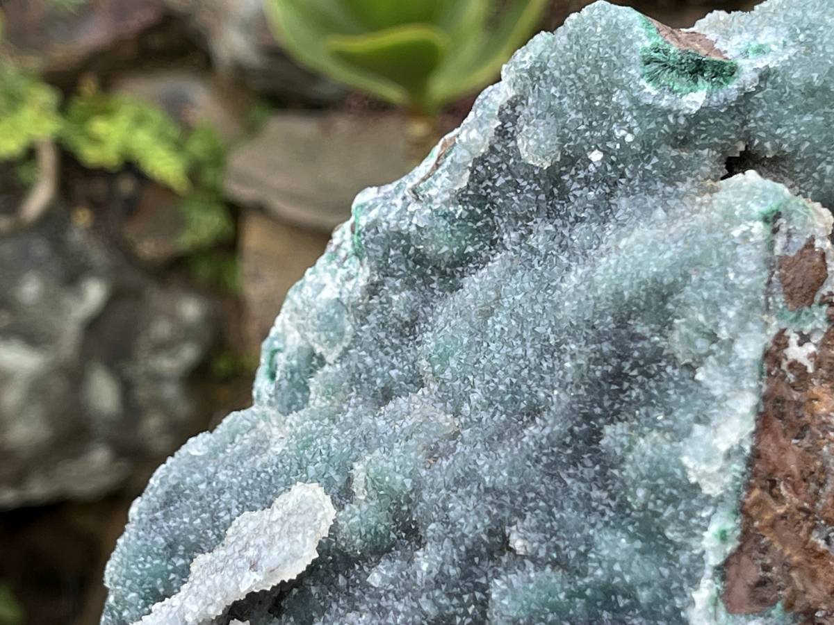 Natural Exquisite Drusy Quartz Coated Ball Malachite Stalactites on Dolomite Matrix Specimen x 1 From Kambove, Congo