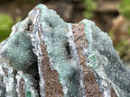 Natural Exquisite Drusy Quartz Coated Ball Malachite Stalactites on Dolomite Matrix Specimen x 1 From Kambove, Congo