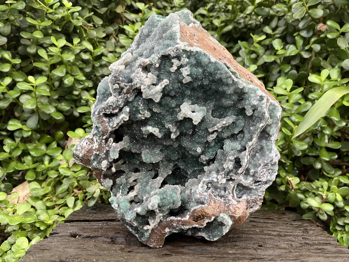 Natural Exquisite Drusy Quartz Coated Ball Malachite Stalactites on Dolomite Matrix Specimen x 1 From Kambove, Congo