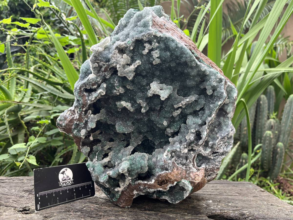 Natural Exquisite Drusy Quartz Coated Ball Malachite Stalactites on Dolomite Matrix Specimen x 1 From Kambove, Congo