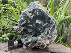 Natural Exquisite Drusy Quartz Coated Ball Malachite Stalactites on Dolomite Matrix Specimen x 1 From Kambove, Congo