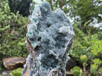 Natural Exquisite Drusy Quartz Coated Ball Malachite Stalactites on Dolomite Matrix Specimen x 1 From Kambove, Congo