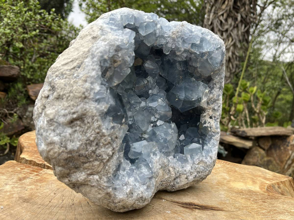Natural Extra Large Celestite Geode Specimen x 1 From Sakoany, Madagascar