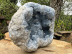 Natural Extra Large Celestite Geode Specimen x 1 From Sakoany, Madagascar