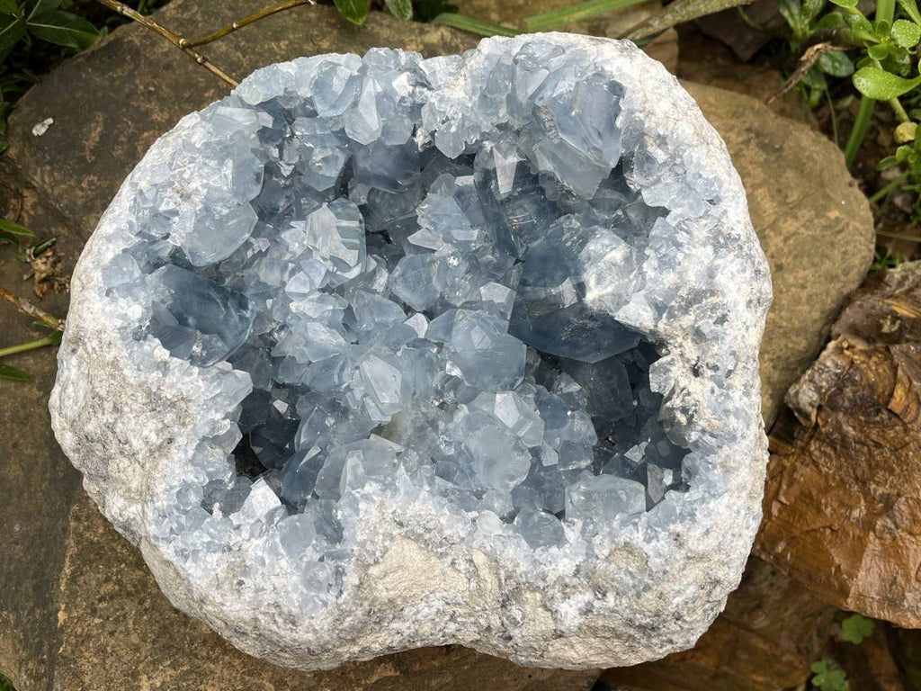 Natural Extra Large Celestite Geode Specimen x 1 From Sakoany, Madagascar