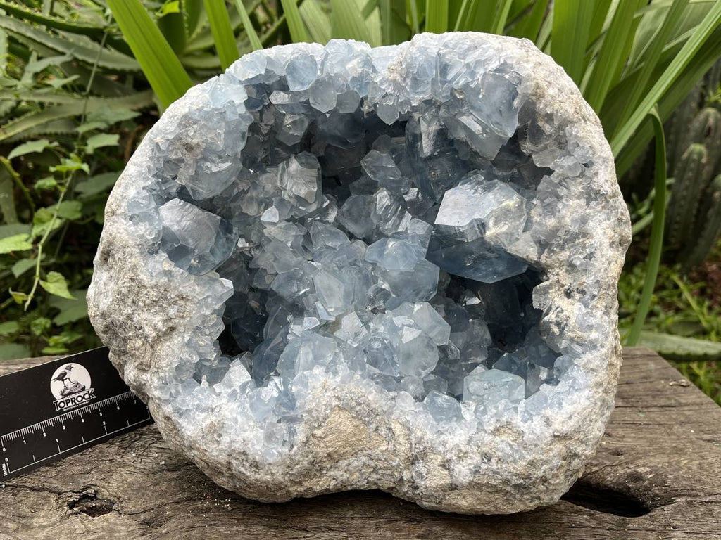 Natural Extra Large Celestite Geode Specimen x 1 From Sakoany, Madagascar