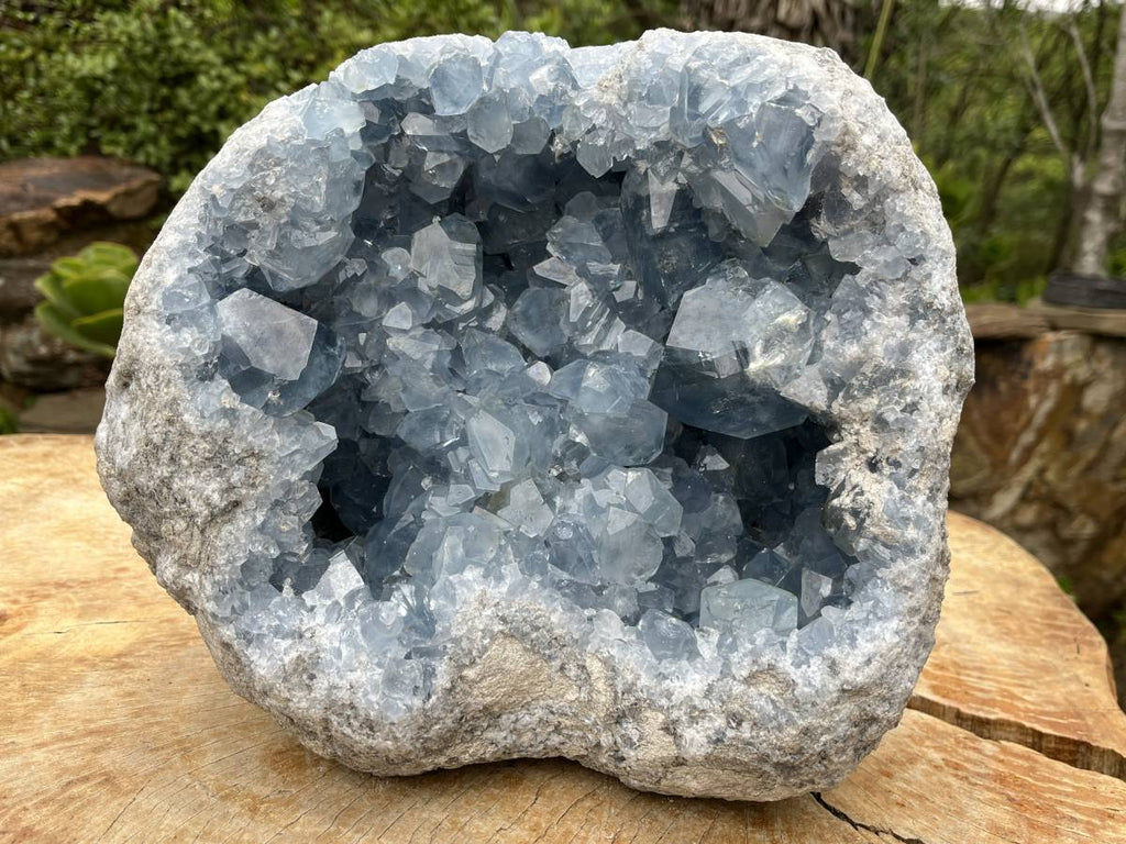 Natural Extra Large Celestite Geode Specimen x 1 From Sakoany, Madagascar