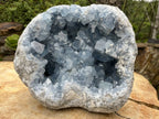 Natural Extra Large Celestite Geode Specimen x 1 From Sakoany, Madagascar