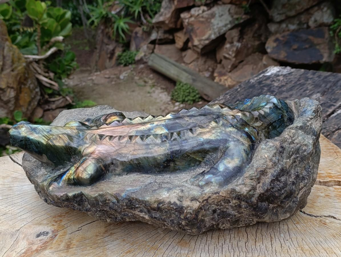 Hand Made XXL Crocodile Labradorite Carving x 1 From Tulear, Madagascar