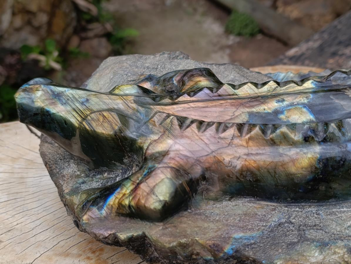 Hand Made XXL Crocodile Labradorite Carving x 1 From Tulear, Madagascar