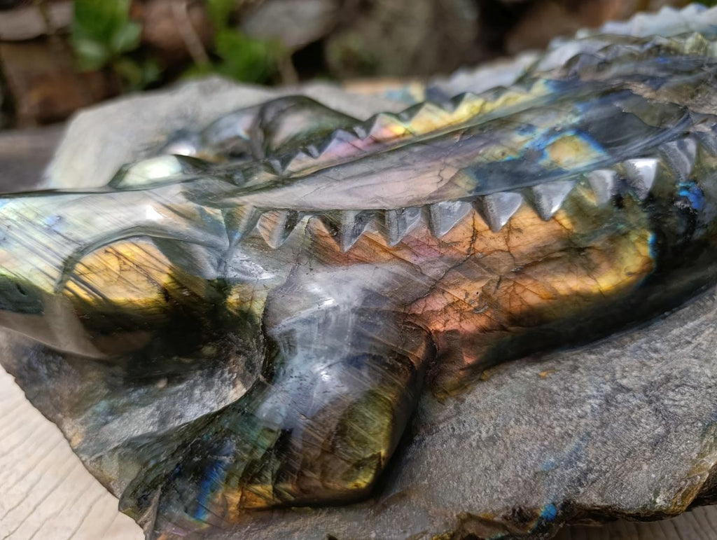 Hand Made XXL Crocodile Labradorite Carving x 1 From Tulear, Madagascar