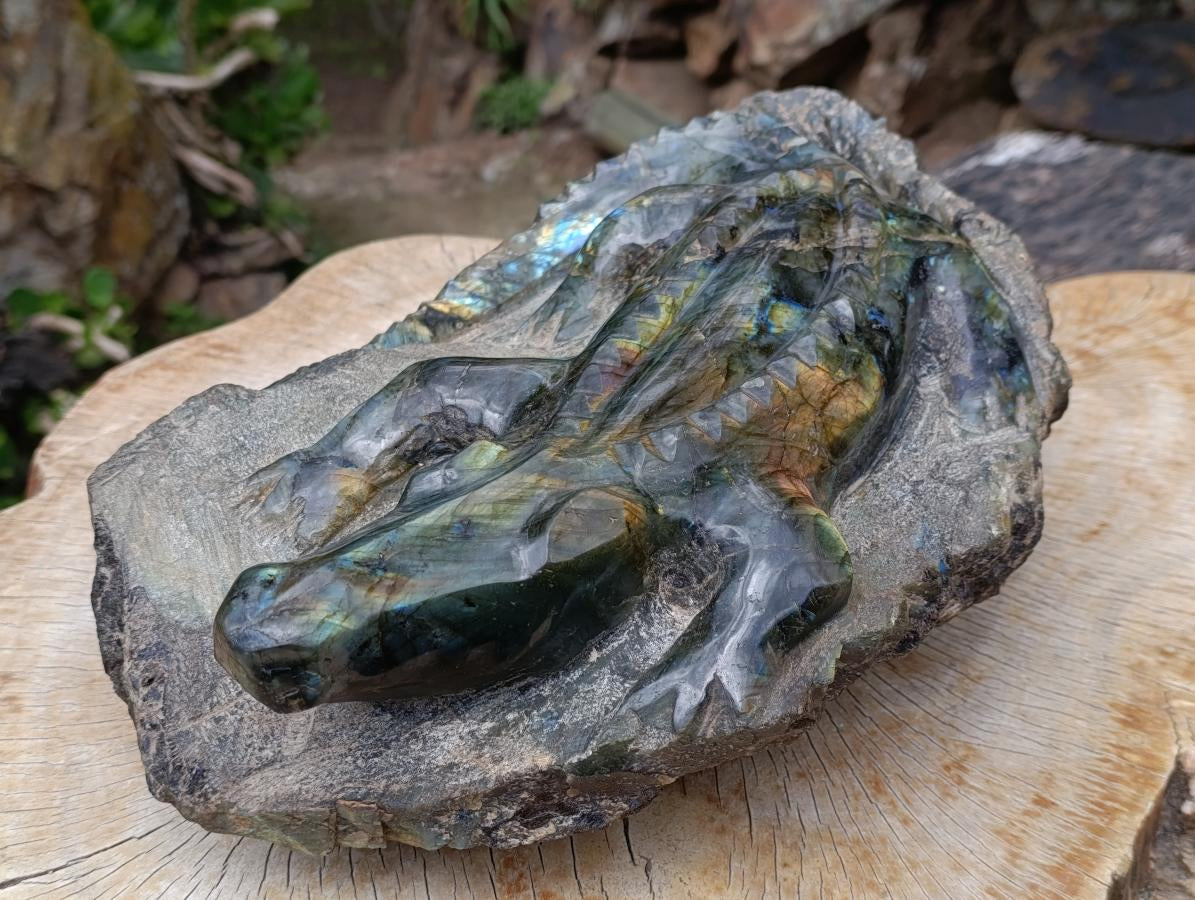 Hand Made XXL Crocodile Labradorite Carving x 1 From Tulear, Madagascar