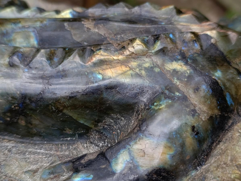 Hand Made XXL Crocodile Labradorite Carving x 1 From Tulear, Madagascar