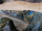 Hand Made XXL Crocodile Labradorite Carving x 1 From Tulear, Madagascar