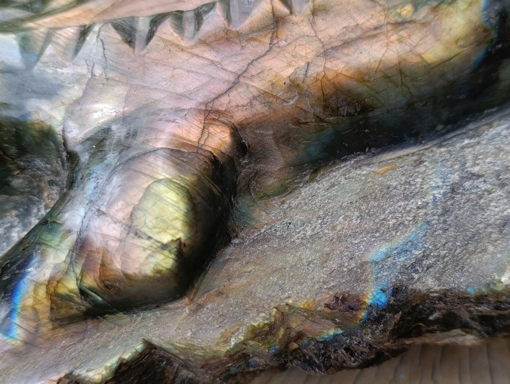 Hand Made XXL Crocodile Labradorite Carving x 1 From Tulear, Madagascar