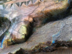 Hand Made XXL Crocodile Labradorite Carving x 1 From Tulear, Madagascar