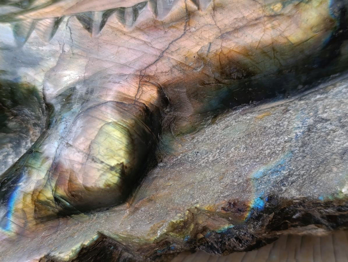 Hand Made XXL Crocodile Labradorite Carving x 1 From Tulear, Madagascar