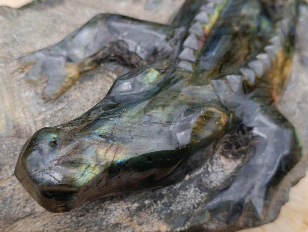 Hand Made XXL Crocodile Labradorite Carving x 1 From Tulear, Madagascar