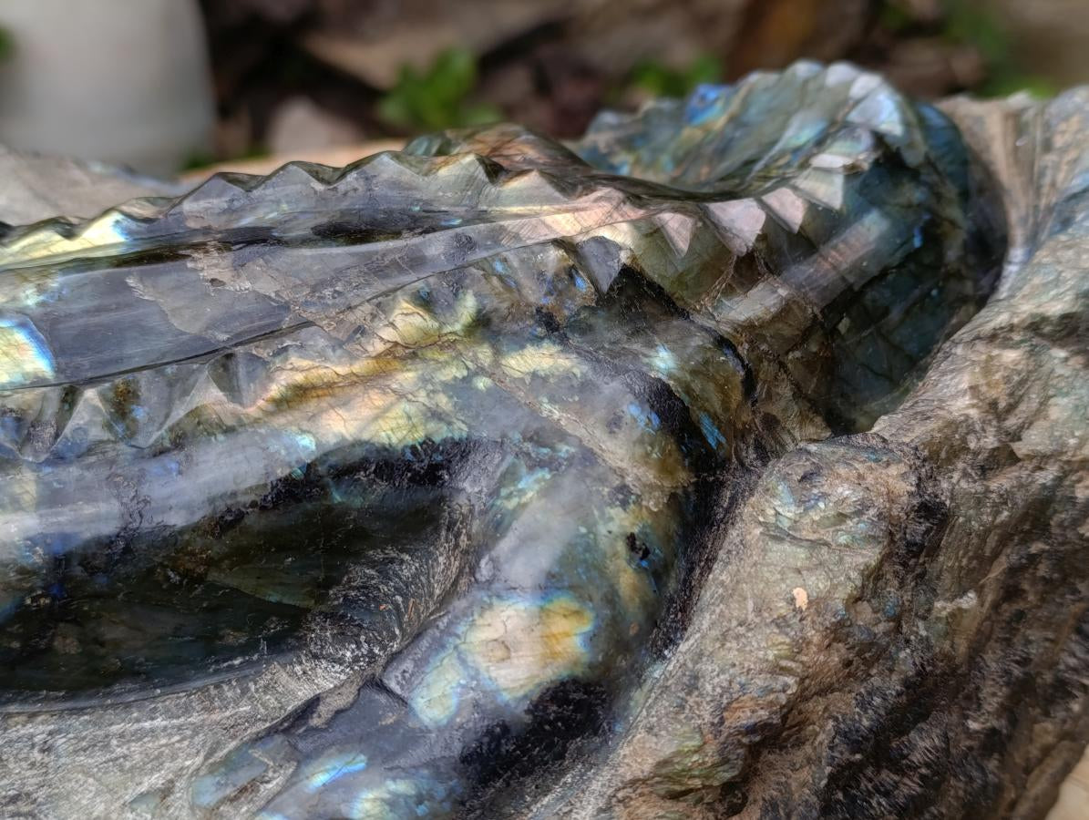 Hand Made XXL Crocodile Labradorite Carving x 1 From Tulear, Madagascar