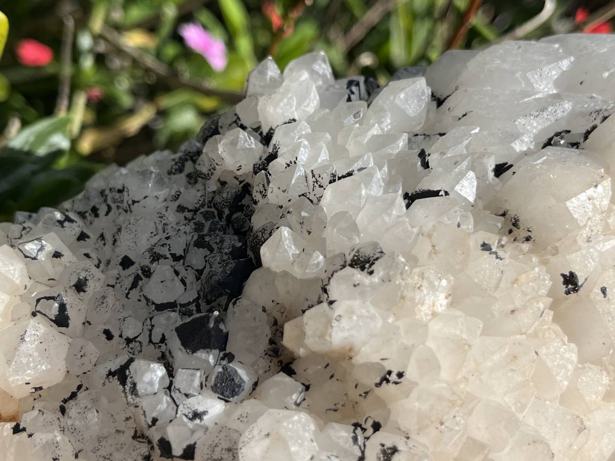 Natural XL Cascading Twin Pineapple Quartz Crystal Cluster x 1 From Madagascar
