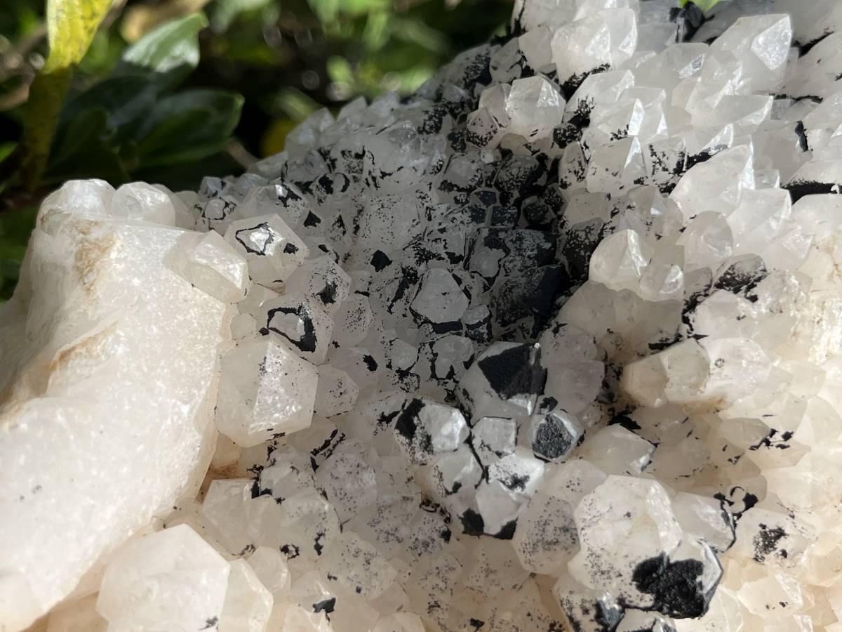 Natural XL Cascading Twin Pineapple Quartz Crystal Cluster x 1 From Madagascar