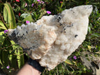 Natural XL Cascading Twin Pineapple Quartz Crystal Cluster x 1 From Madagascar