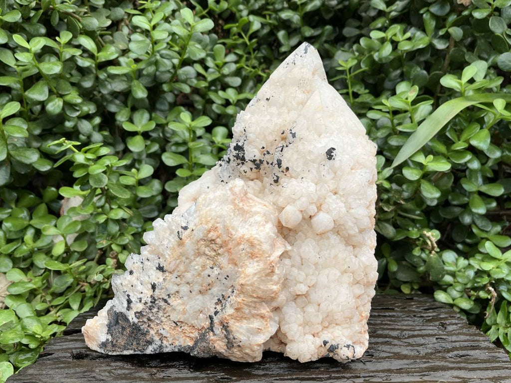 Natural XL Cascading Twin Pineapple Quartz Crystal Cluster x 1 From Madagascar