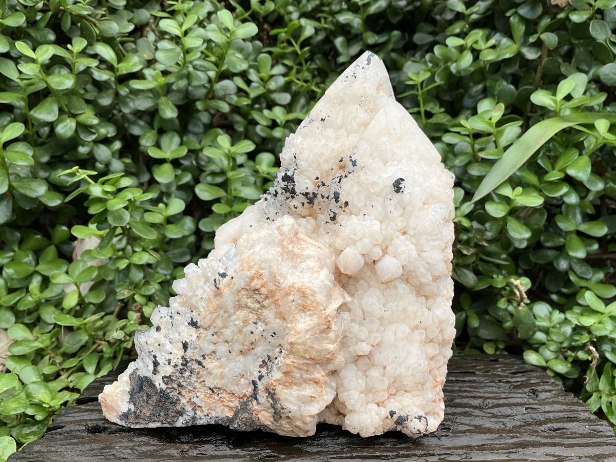 Natural XL Cascading Twin Pineapple Quartz Crystal Cluster x 1 From Madagascar