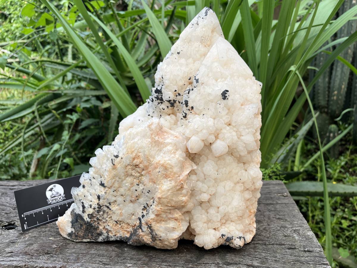 Natural XL Cascading Twin Pineapple Quartz Crystal Cluster x 1 From Madagascar