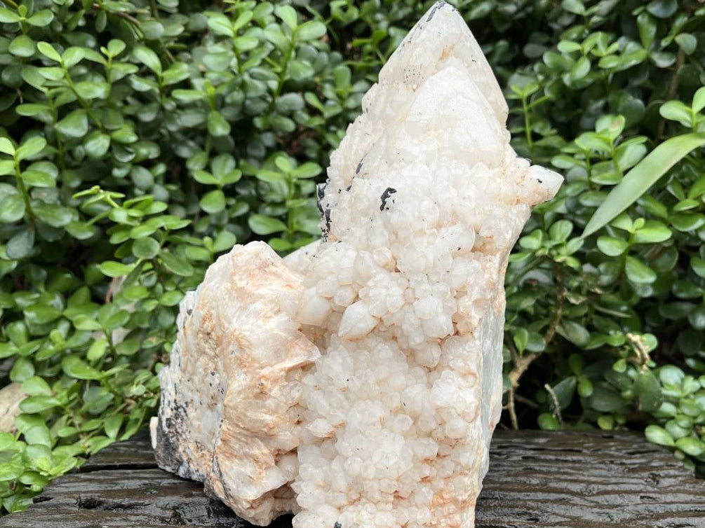 Natural XL Cascading Twin Pineapple Quartz Crystal Cluster x 1 From Madagascar