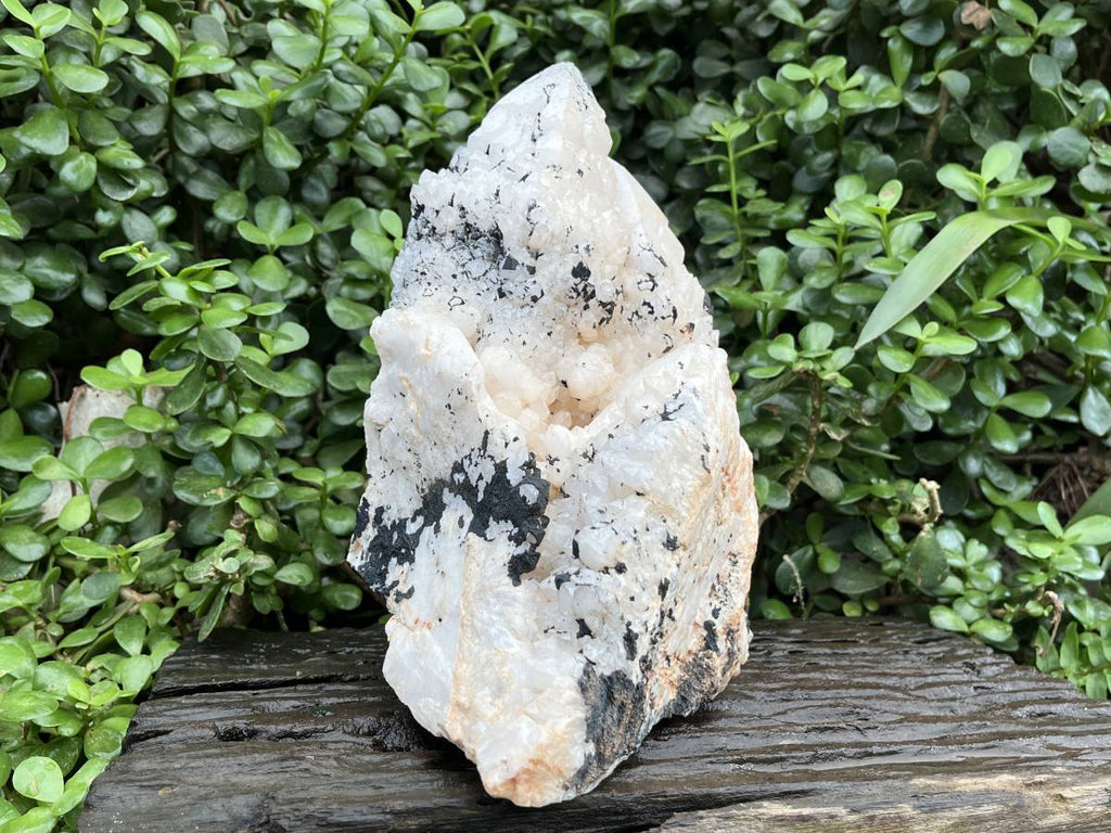 Natural XL Cascading Twin Pineapple Quartz Crystal Cluster x 1 From Madagascar