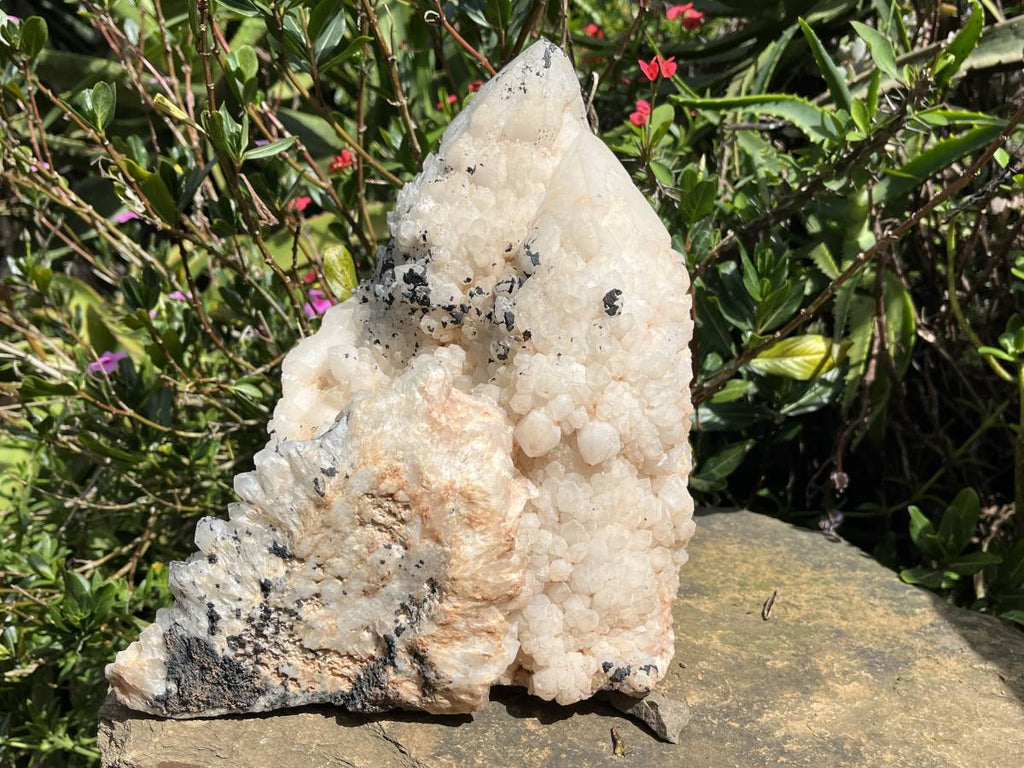 Natural XL Cascading Twin Pineapple Quartz Crystal Cluster x 1 From Madagascar