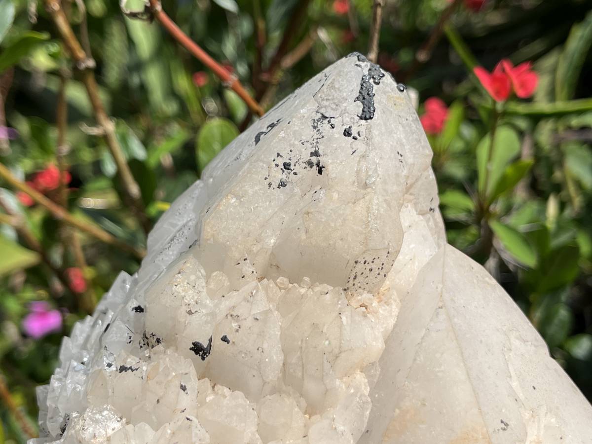 Natural XL Cascading Twin Pineapple Quartz Crystal Cluster x 1 From Madagascar