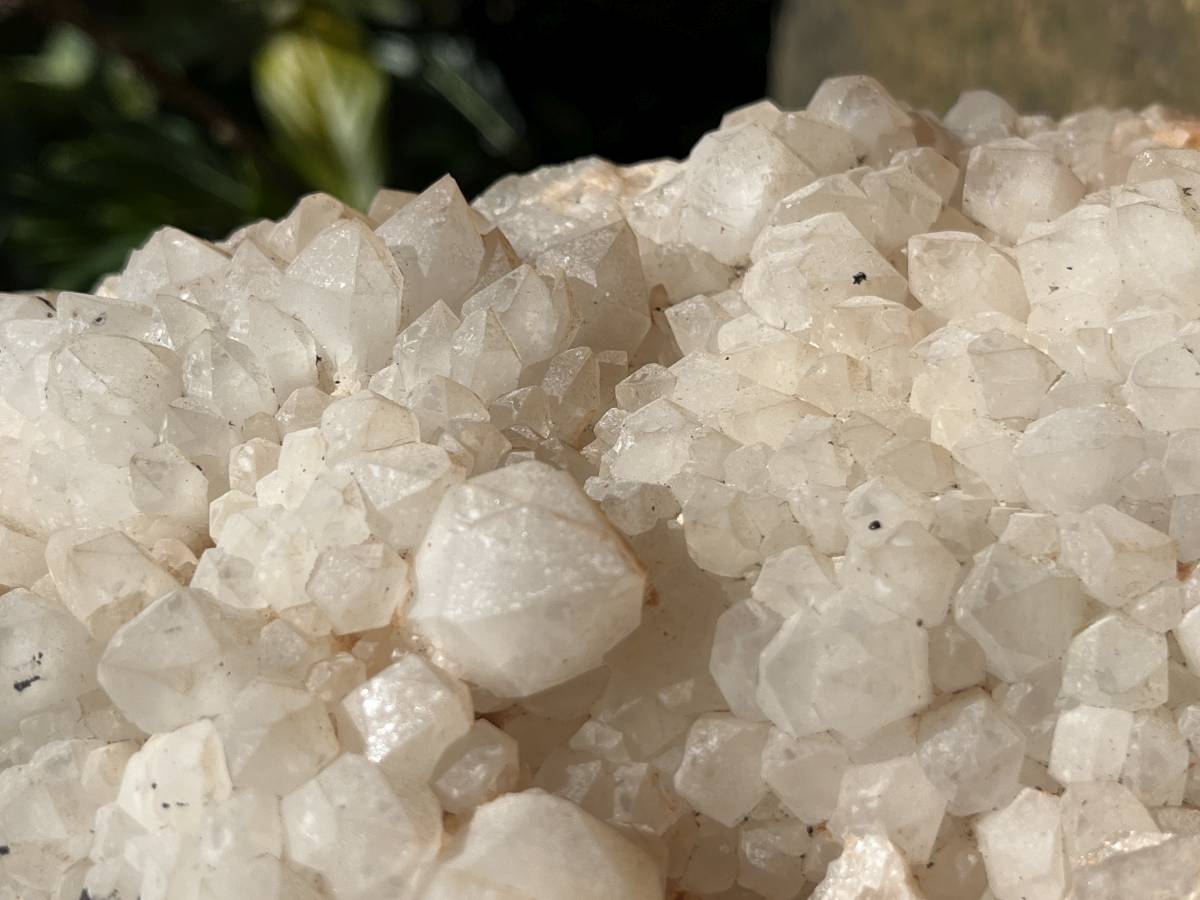 Natural XL Cascading Twin Pineapple Quartz Crystal Cluster x 1 From Madagascar