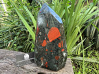 Polished XL Bloodstone Standing Display Crystal x 1 From Swaziland