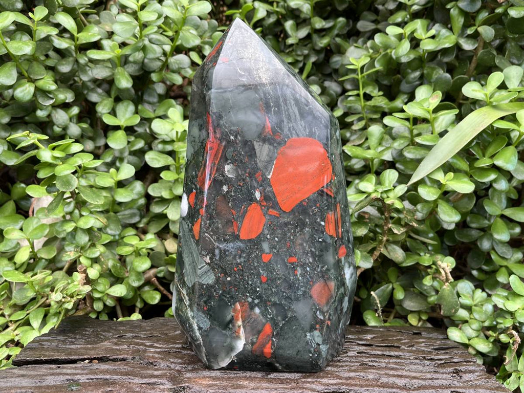 Polished XL Bloodstone Standing Display Crystal x 1 From Swaziland