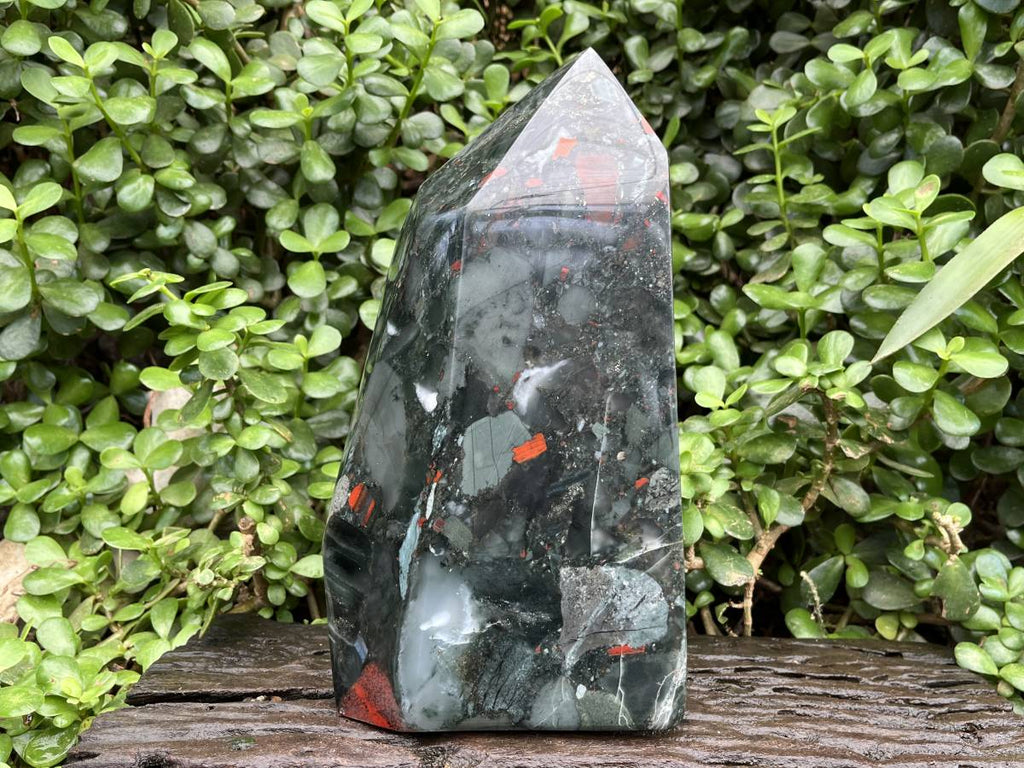 Polished XL Bloodstone Standing Display Crystal x 1 From Swaziland
