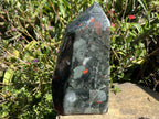 Polished XL Bloodstone Standing Display Crystal x 1 From Swaziland