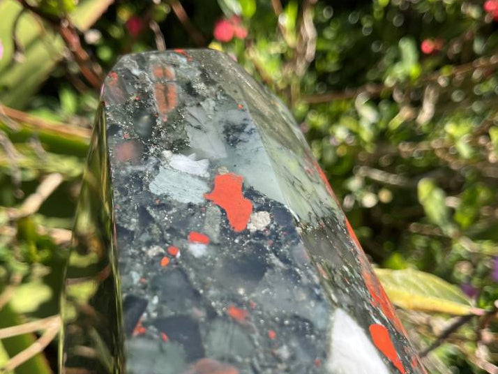 Polished XL Bloodstone Standing Display Crystal x 1 From Swaziland