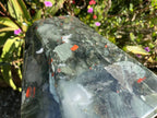 Polished XL Bloodstone Standing Display Crystal x 1 From Swaziland