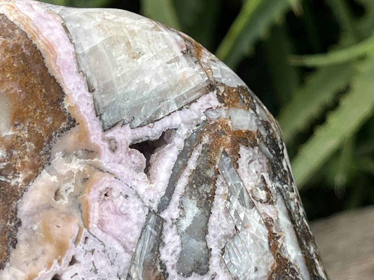 Polished Large Pink Banded Cobaltion Aragonite Display Specimen x 1 From Congo