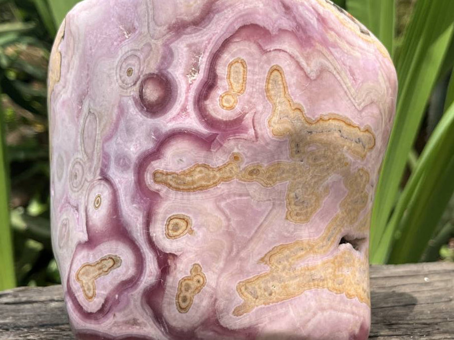 Polished Large Pink Banded Cobaltion Aragonite Display Specimen x 1 From Congo