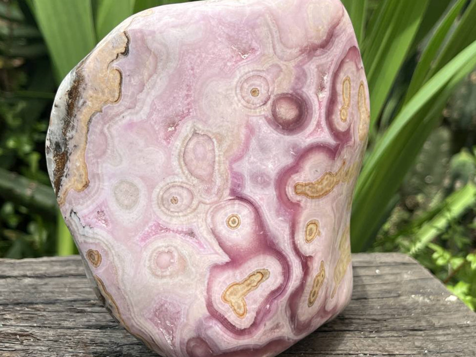 Polished Large Pink Banded Cobaltion Aragonite Display Specimen x 1 From Congo