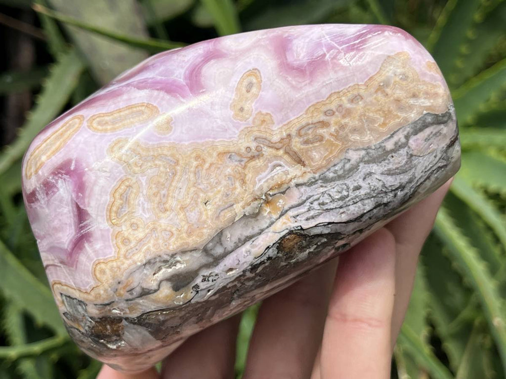 Polished Large Pink Banded Cobaltion Aragonite Display Specimen x 1 From Congo