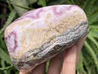 Polished Large Pink Banded Cobaltion Aragonite Display Specimen x 1 From Congo