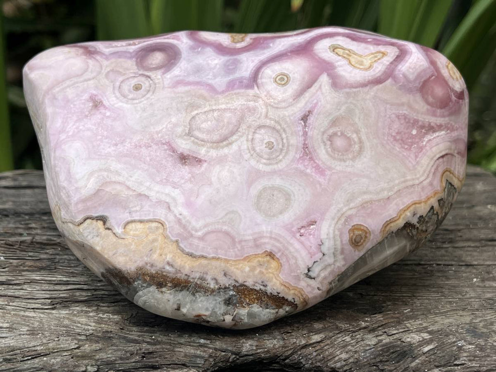 Polished Large Pink Banded Cobaltion Aragonite Display Specimen x 1 From Congo