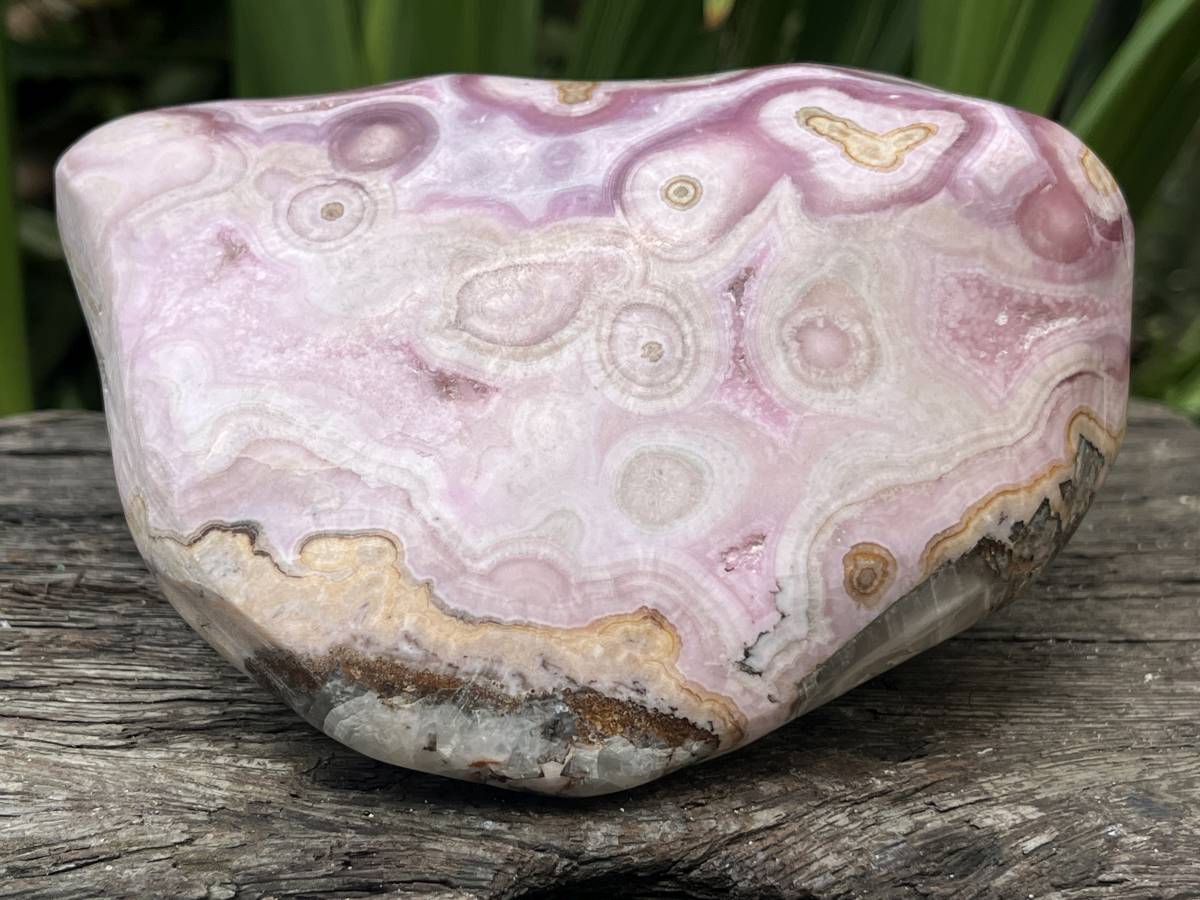 Polished Large Pink Banded Cobaltion Aragonite Display Specimen x 1 From Congo
