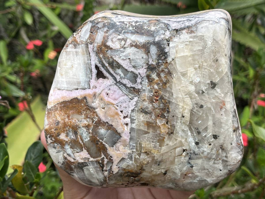 Polished Large Pink Banded Cobaltion Aragonite Display Specimen x 1 From Congo