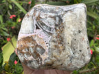 Polished Large Pink Banded Cobaltion Aragonite Display Specimen x 1 From Congo